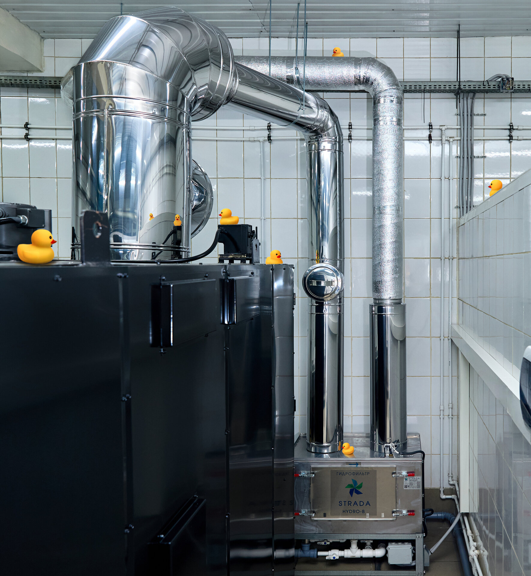 myaso